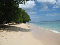 beach in barbados